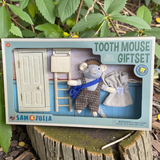 Tooth Fairy Mouse Gift Set