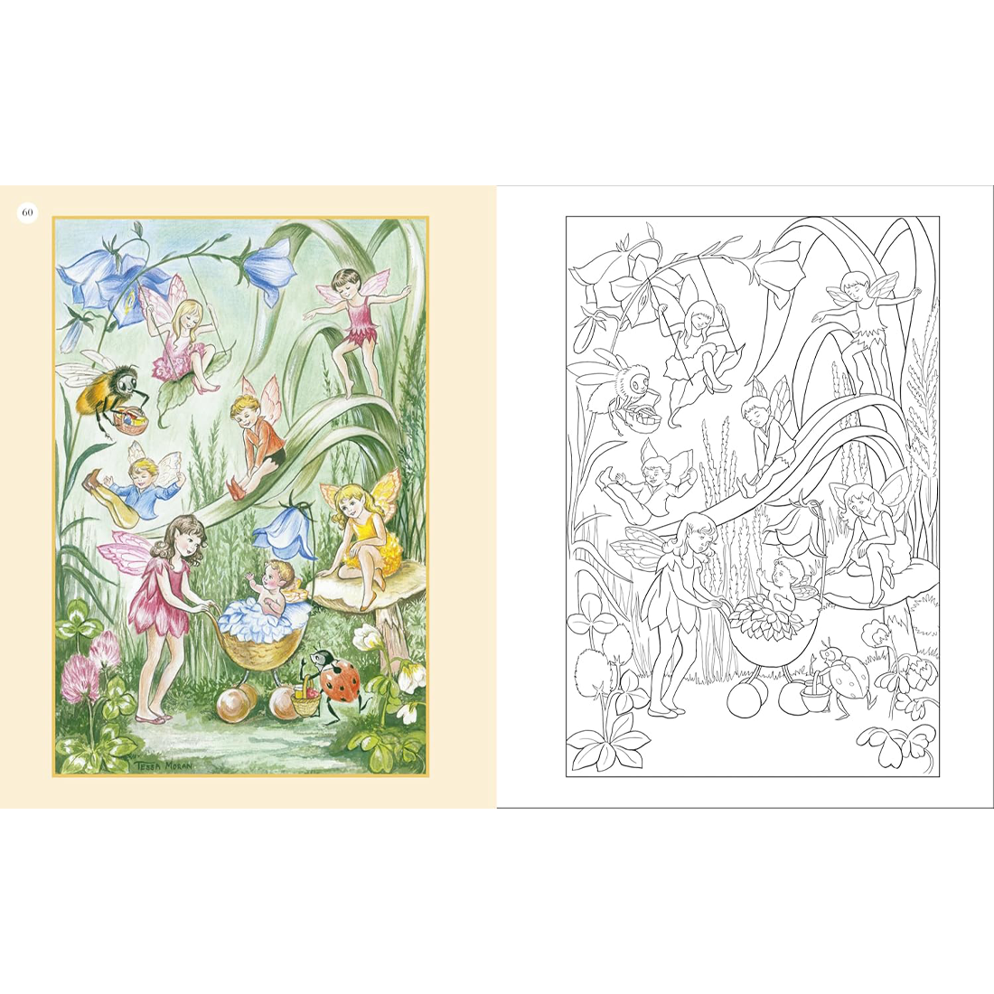 Vintage Fairies Colouring Book The Hardback Gift Edition