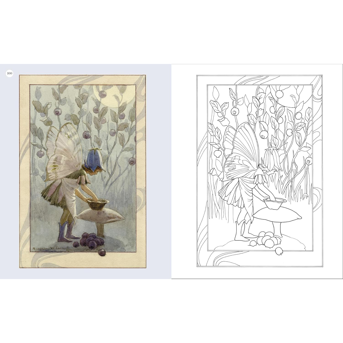 Vintage Fairies Colouring Book The Hardback Gift Edition