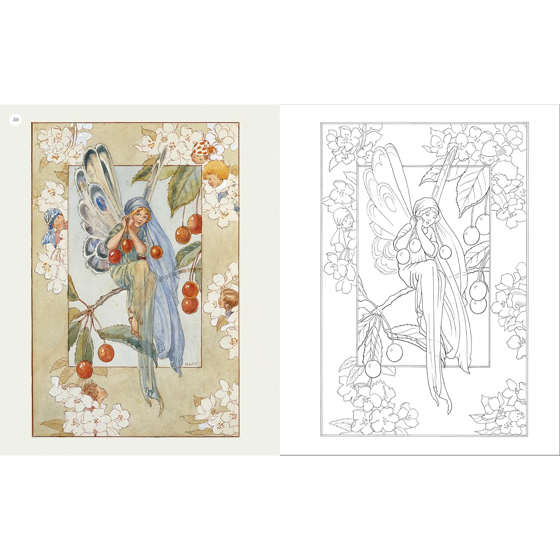 Vintage Fairies Colouring Book The Hardback Gift Edition