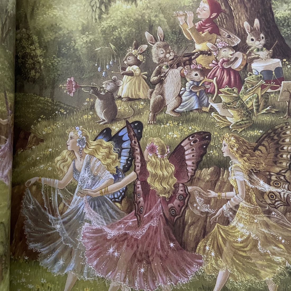 A Visit to Fairyland Paperback Book by Shirley Barber