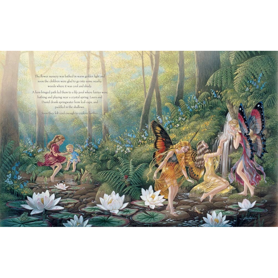 A Visit to Fairyland Paperback Book by Shirley Barber