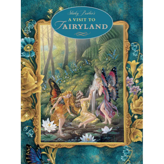 A Visit to Fairyland Paperback Book by Shirley Barber