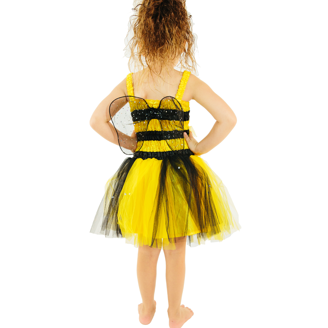 Girls Bumble Bee Fairy Dress Costume