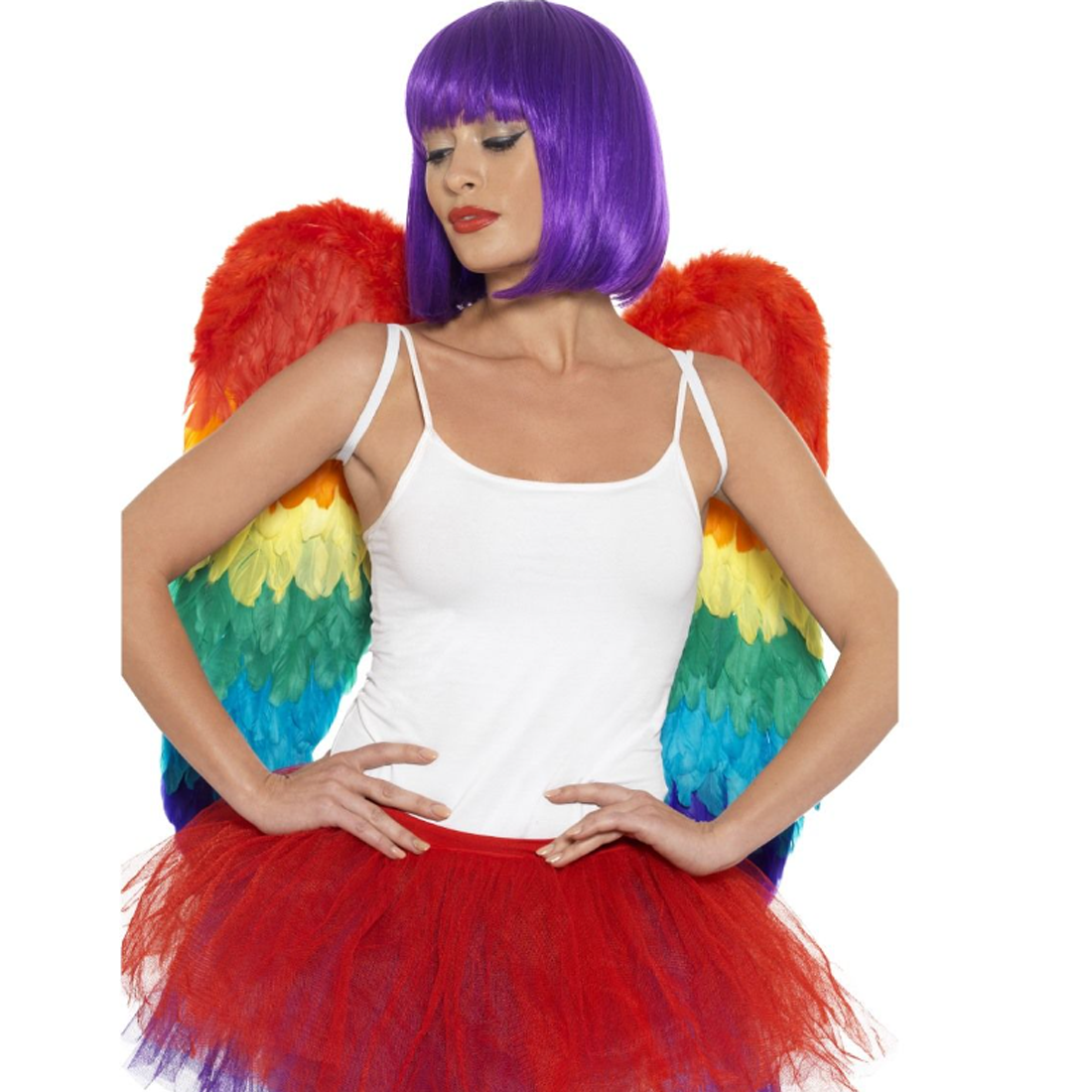 Large Rainbow Feather Wings