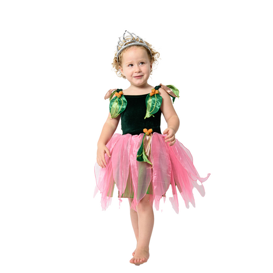 May Gibbs Little Ragged Blossom Fairy Dress