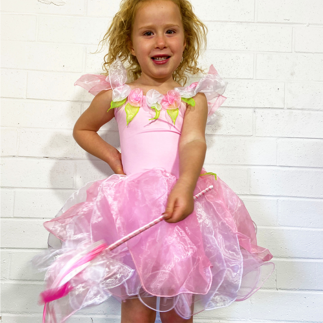 Pink Wish Fairy Dress and Wishing Wand Set
