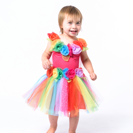 Rainbow Toddler Fairy Dress