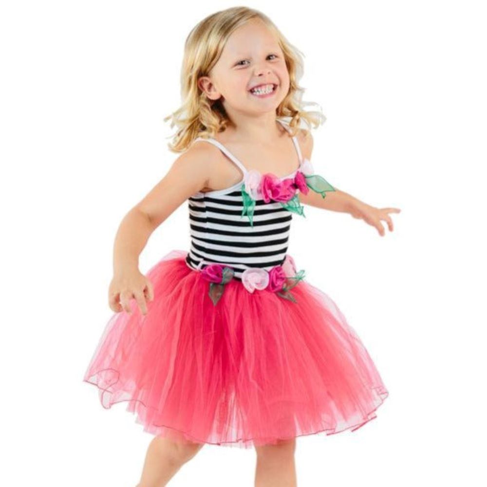 Tea Party / Pirate Fairy Dress