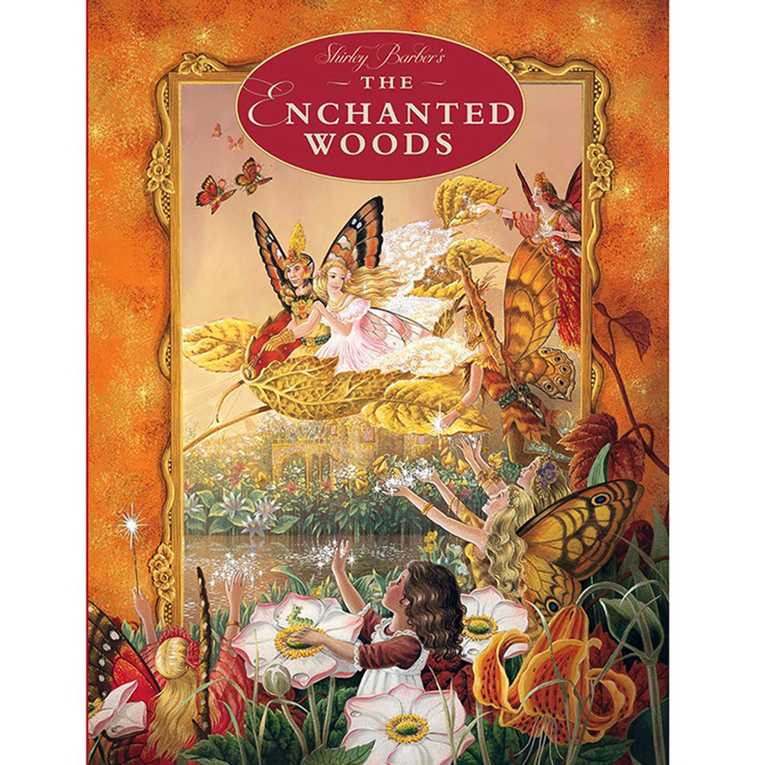 The Enchanted Woods Hardback Book by Shirley Barber