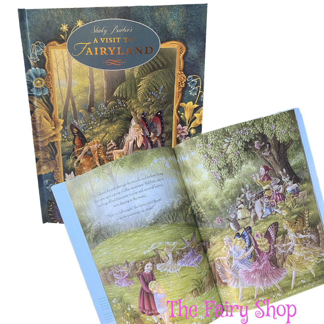 A Visit to Fairyland Hardback Book by Shirley Barber