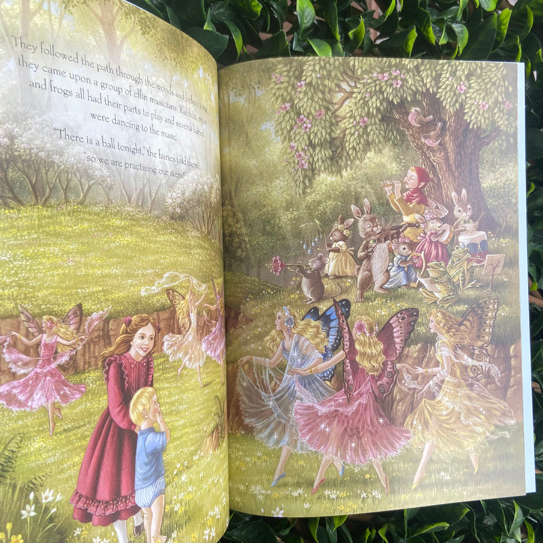 A Visit to Fairyland Paperback Book by Shirley Barber