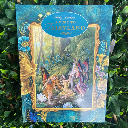 A Visit to Fairyland Paperback Book by Shirley Barber