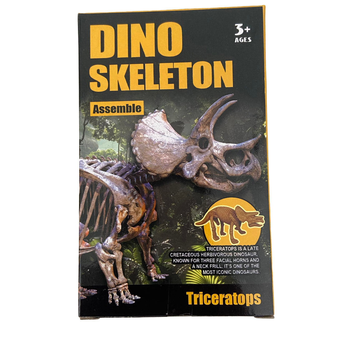 Assemble Dinosaur Skeleton