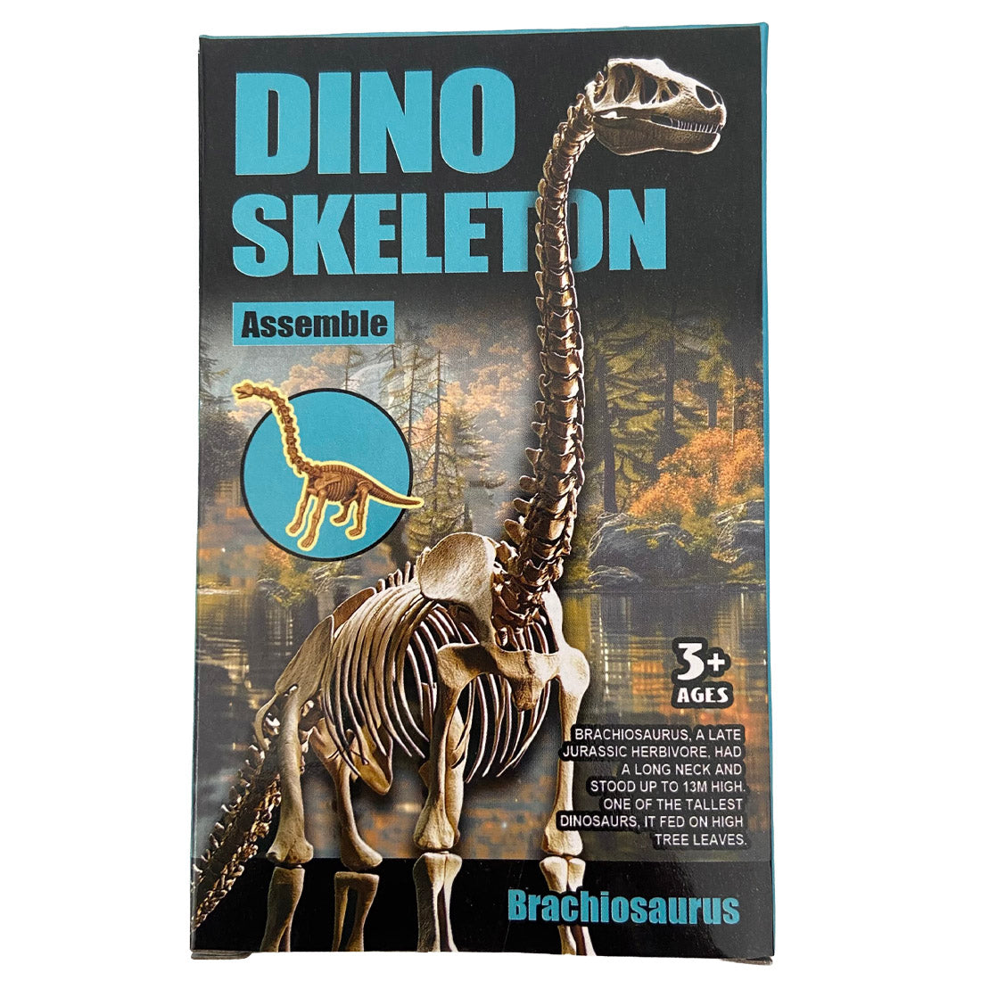 Assemble Dinosaur Skeleton