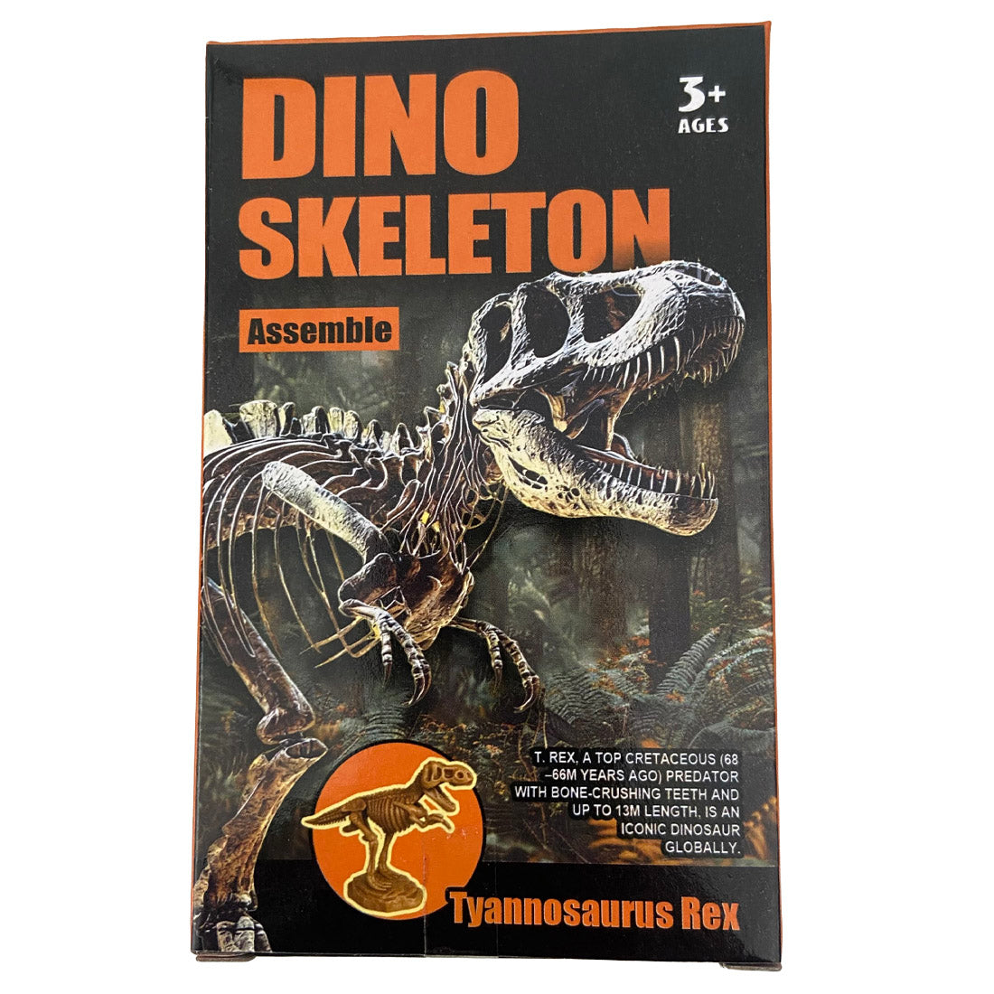 Assemble Dinosaur Skeleton
