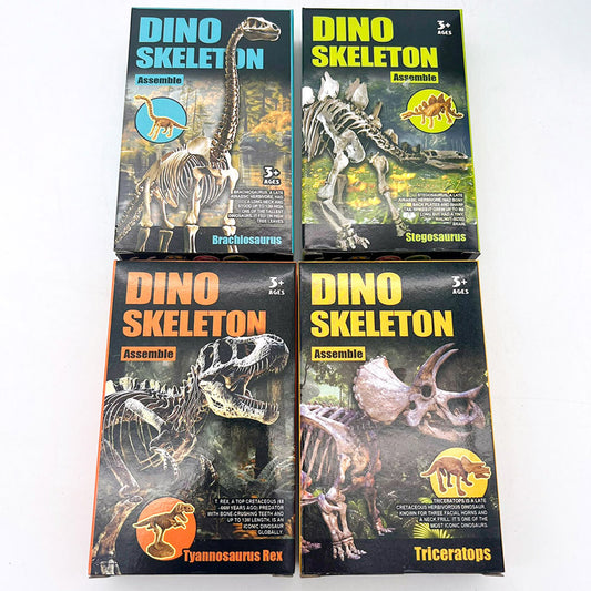 Assemble Dinosaur Skeleton