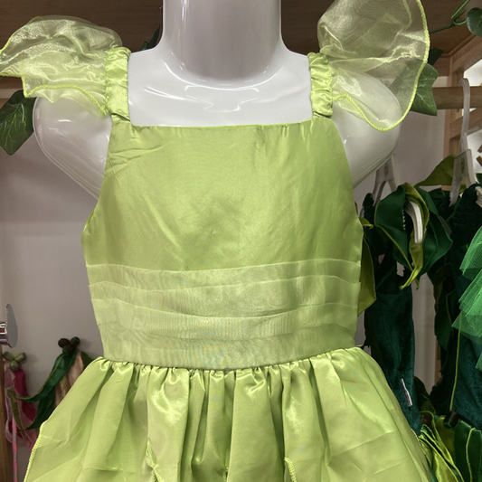 Beautiful Girls Green Fairy Dress Costume