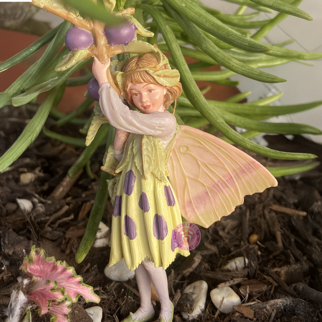 Cicely Mary Barker Sloe Fairy Flower Fairies Figurine – The Fairy Shop