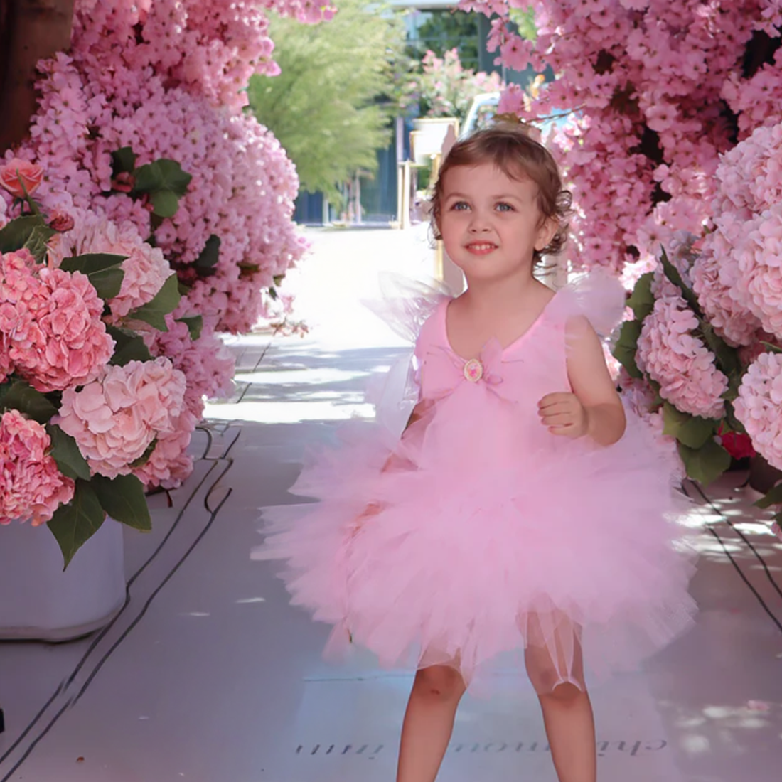 Claris The Chicest Mouse In Paris Magnificent Mess Tutu Dress