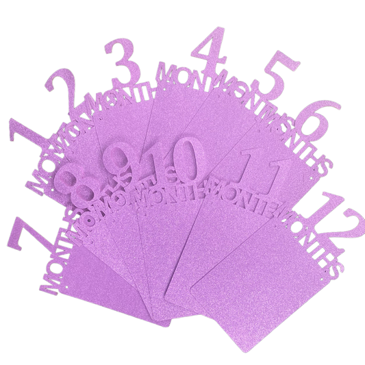 Deep Pink 1st Birthday Photo Banner 1 - 12 Month
