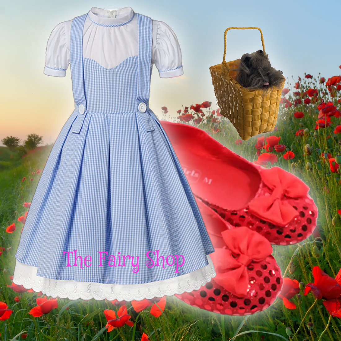 Girls Dorothy Wizard of Oz Inspired Costume