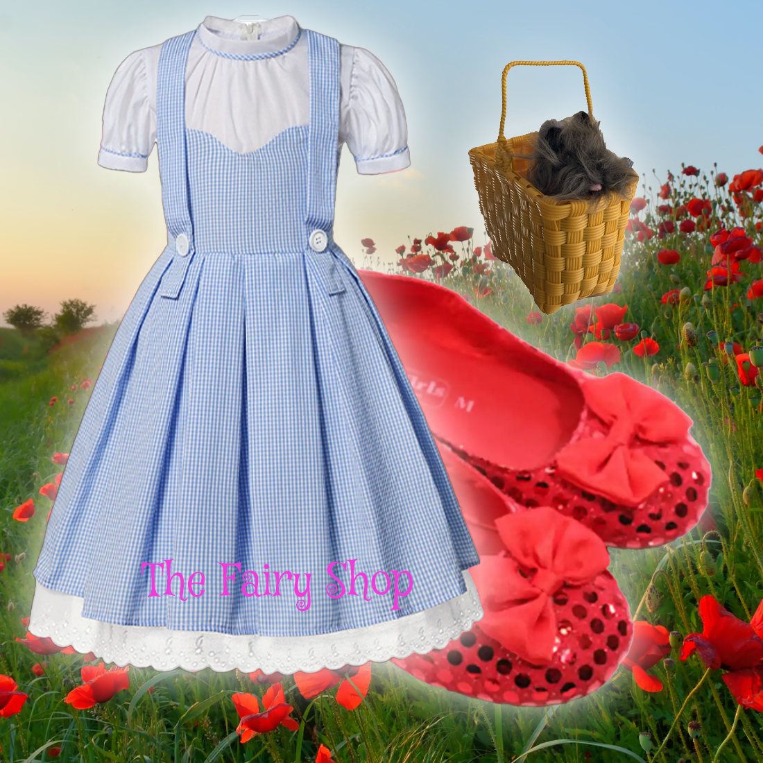 Girls Dorothy Wizard of Oz Inspired Costume The Fairy Shop