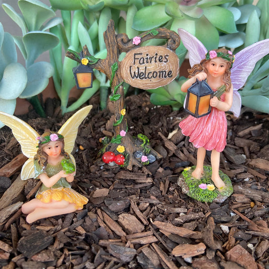 Enchanted Fairy Set