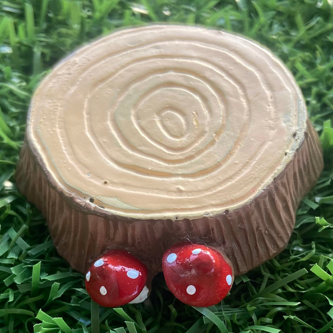 Enchanted Mushroom Fairy Garden Set