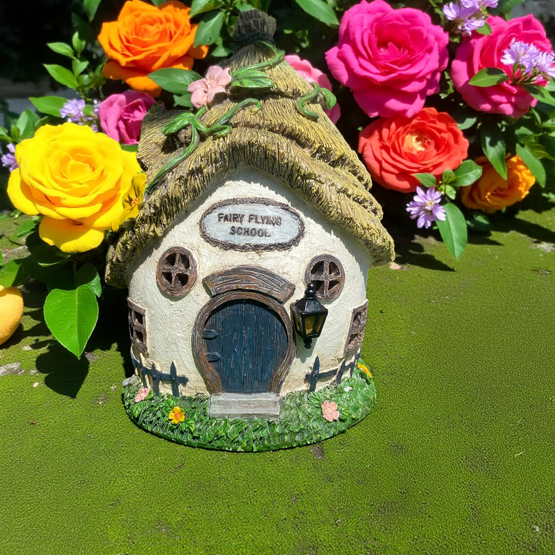 Fairy Flying School Solar House