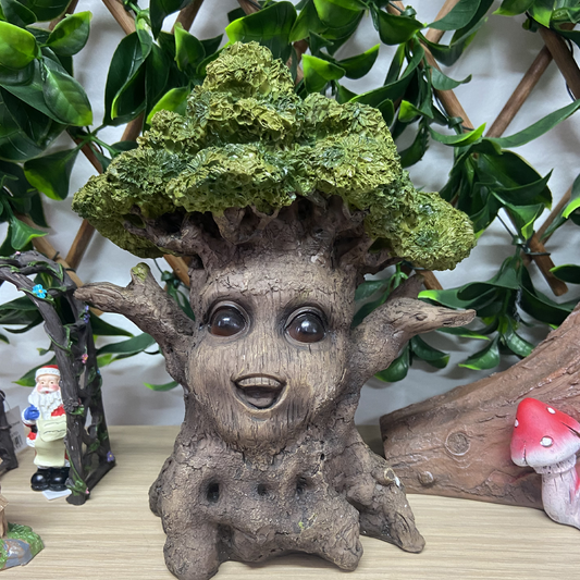 Fairy Garden 21cm Baby Smiling Tree