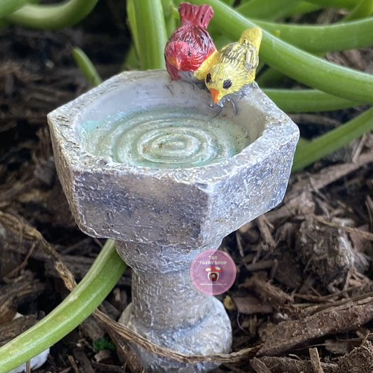 Fairy Garden Bird Bath