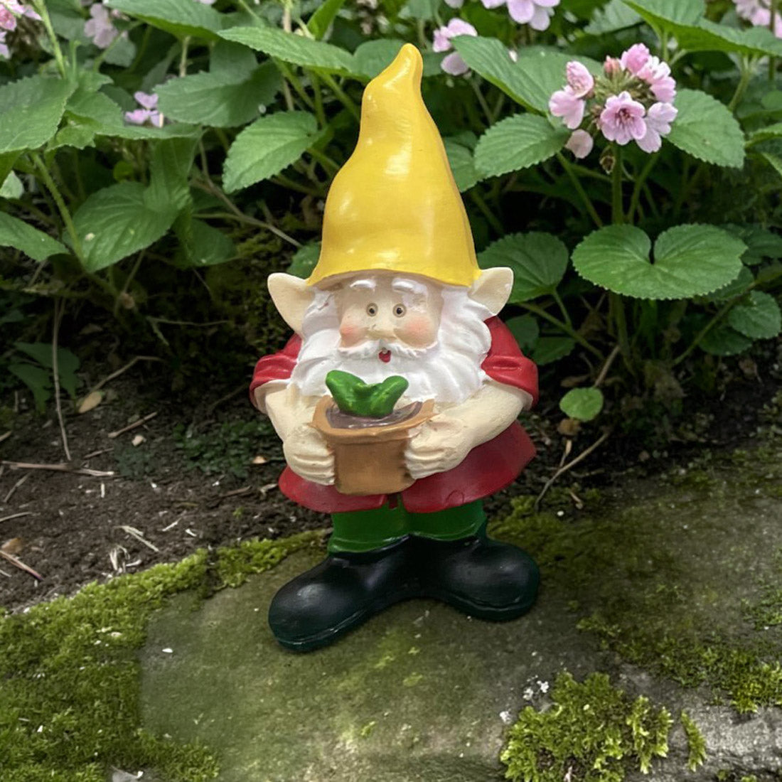 Fairy Garden Gnome