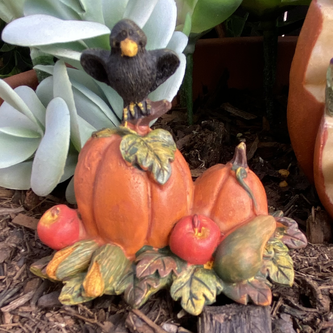 Fairy Garden Pumpkin Set