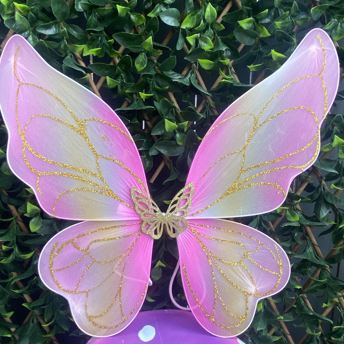 Fairy Magic Pink Party Dress Gift Set