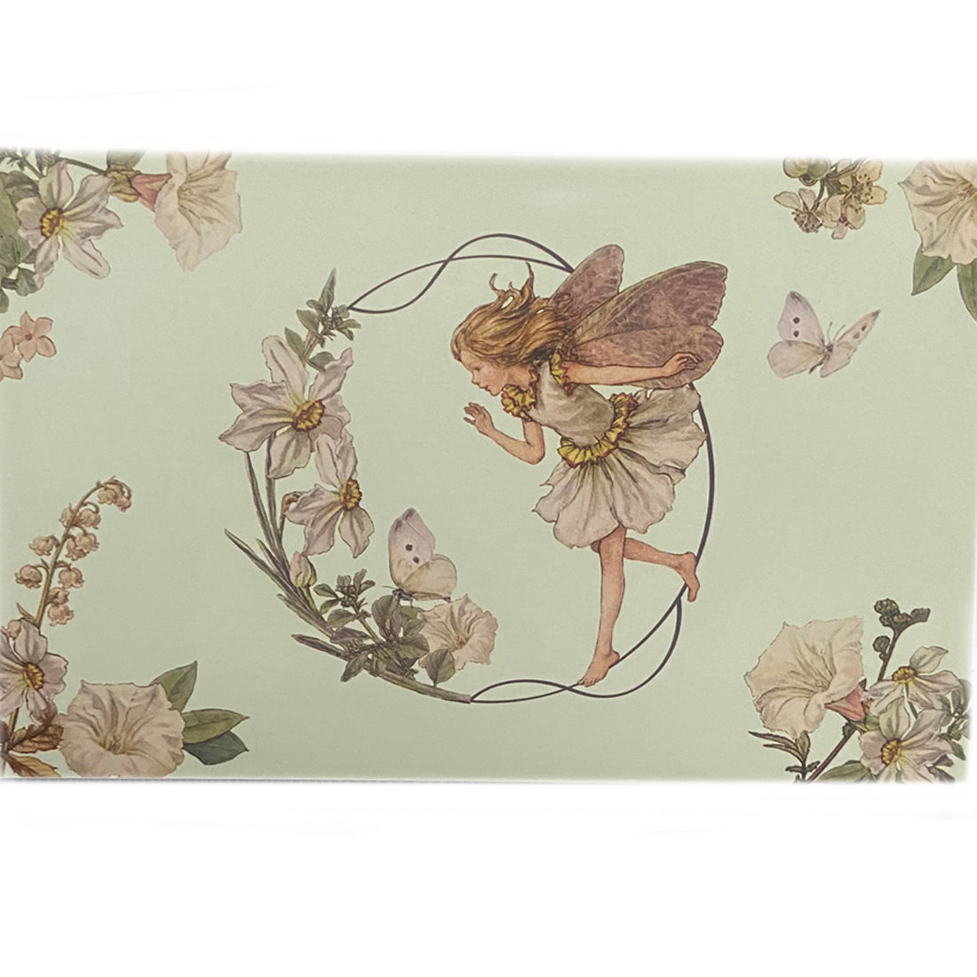 Flower Fairies Musical Jewellery Box