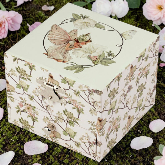 Flower Fairies Musical Jewellery Box - Narcissus