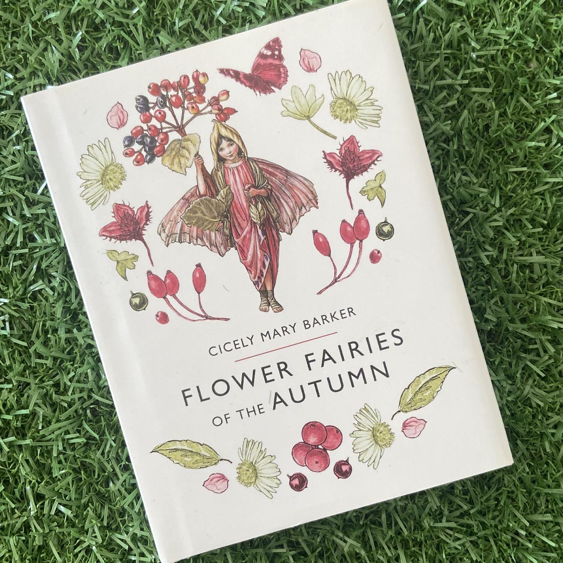 Flower Fairies of the Autumn