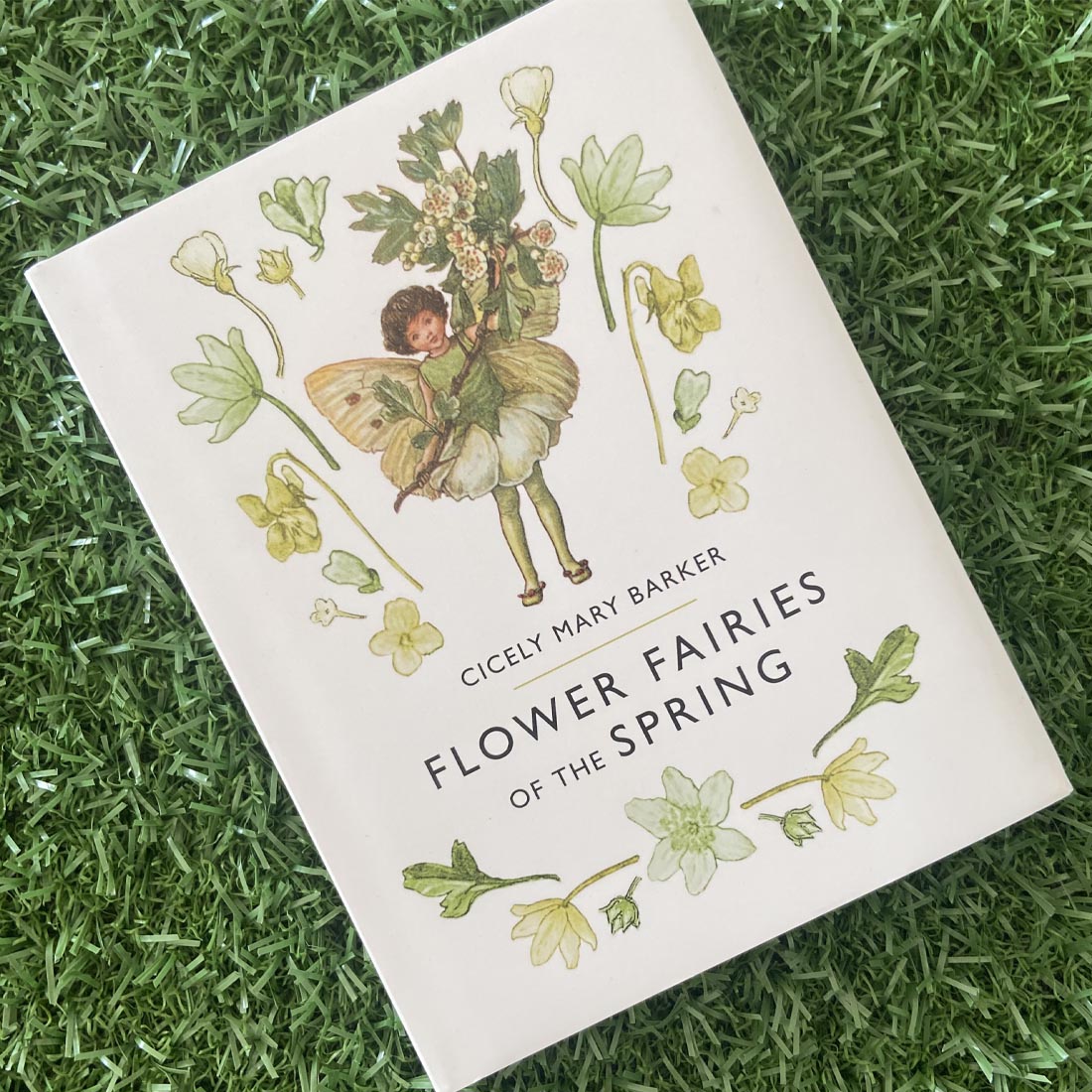 Flower Fairies of the Spring