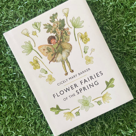 Flower Fairies of the Spring