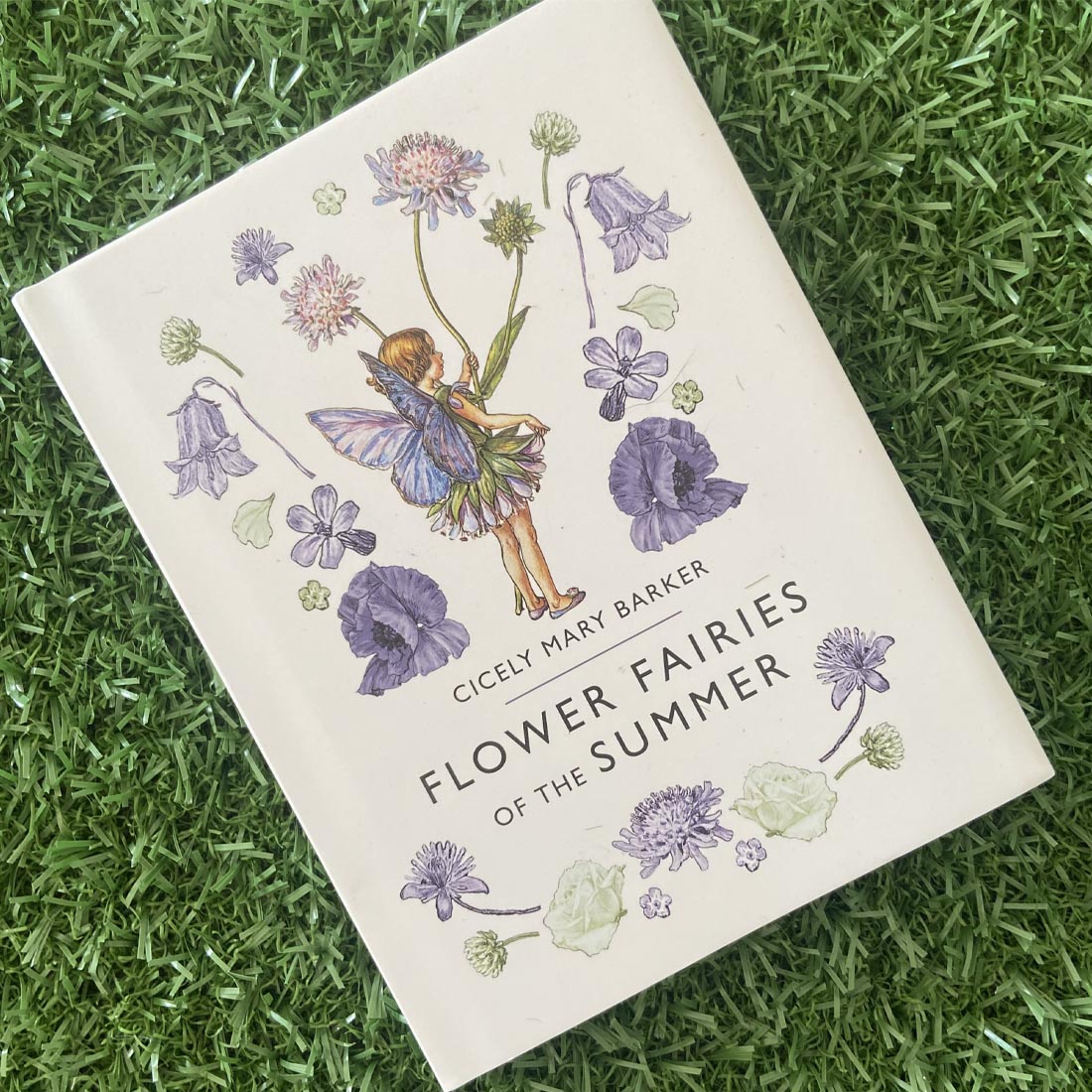 Flower Fairies of the Summer