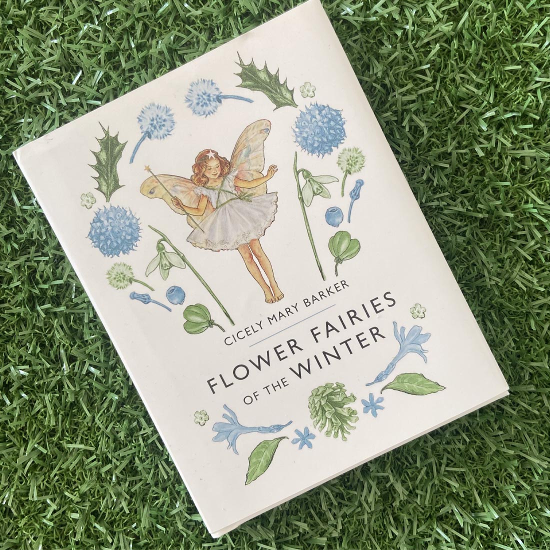 Flower Fairies of the Winter