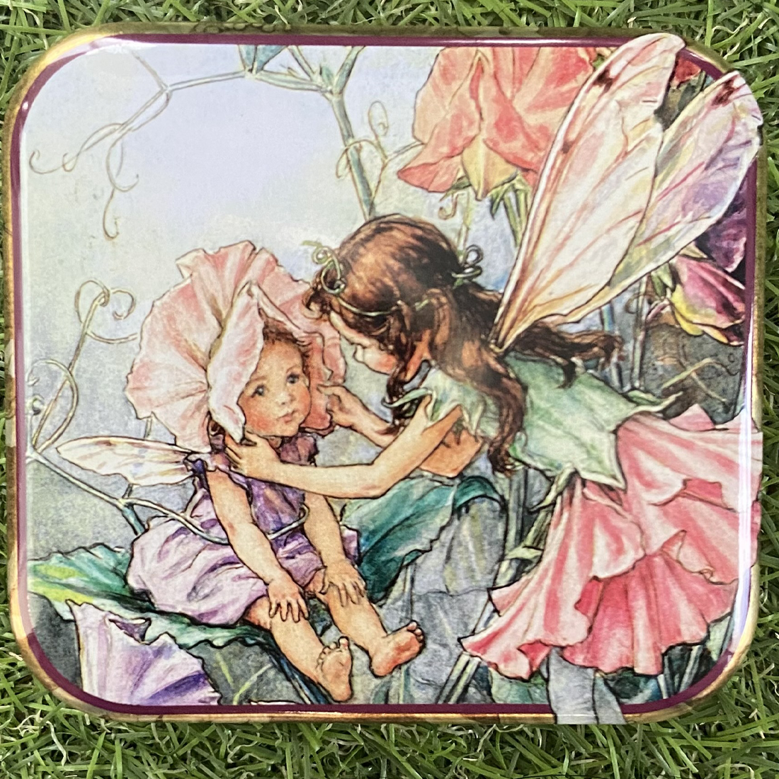 Flower Fairies Pocket Tin