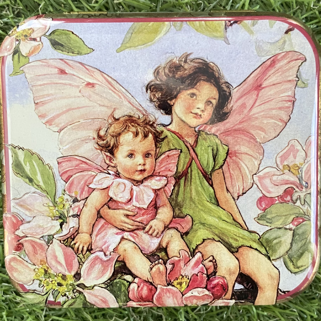 Flower Fairies Pocket Tin