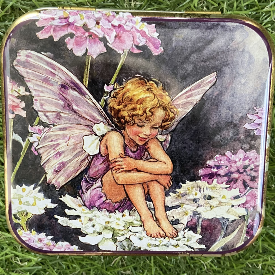 Flower Fairies Pocket Tin