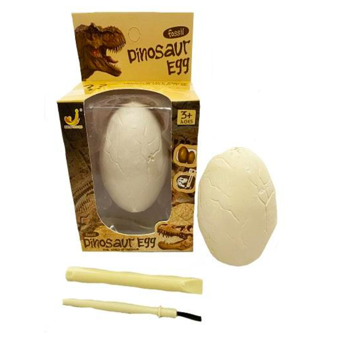 Fossil Dinosaur Egg