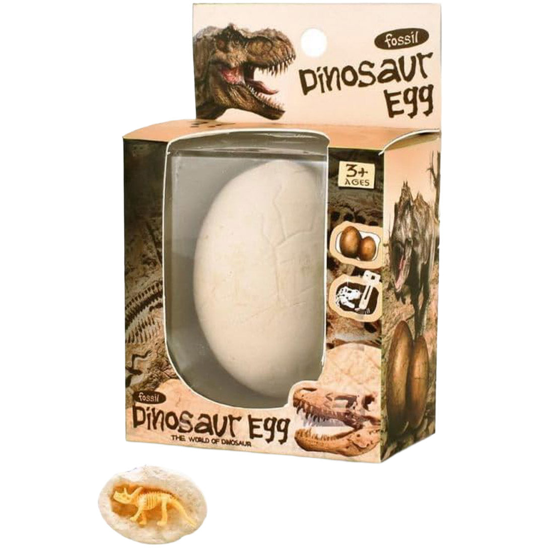 Fossil Dinosaur Egg