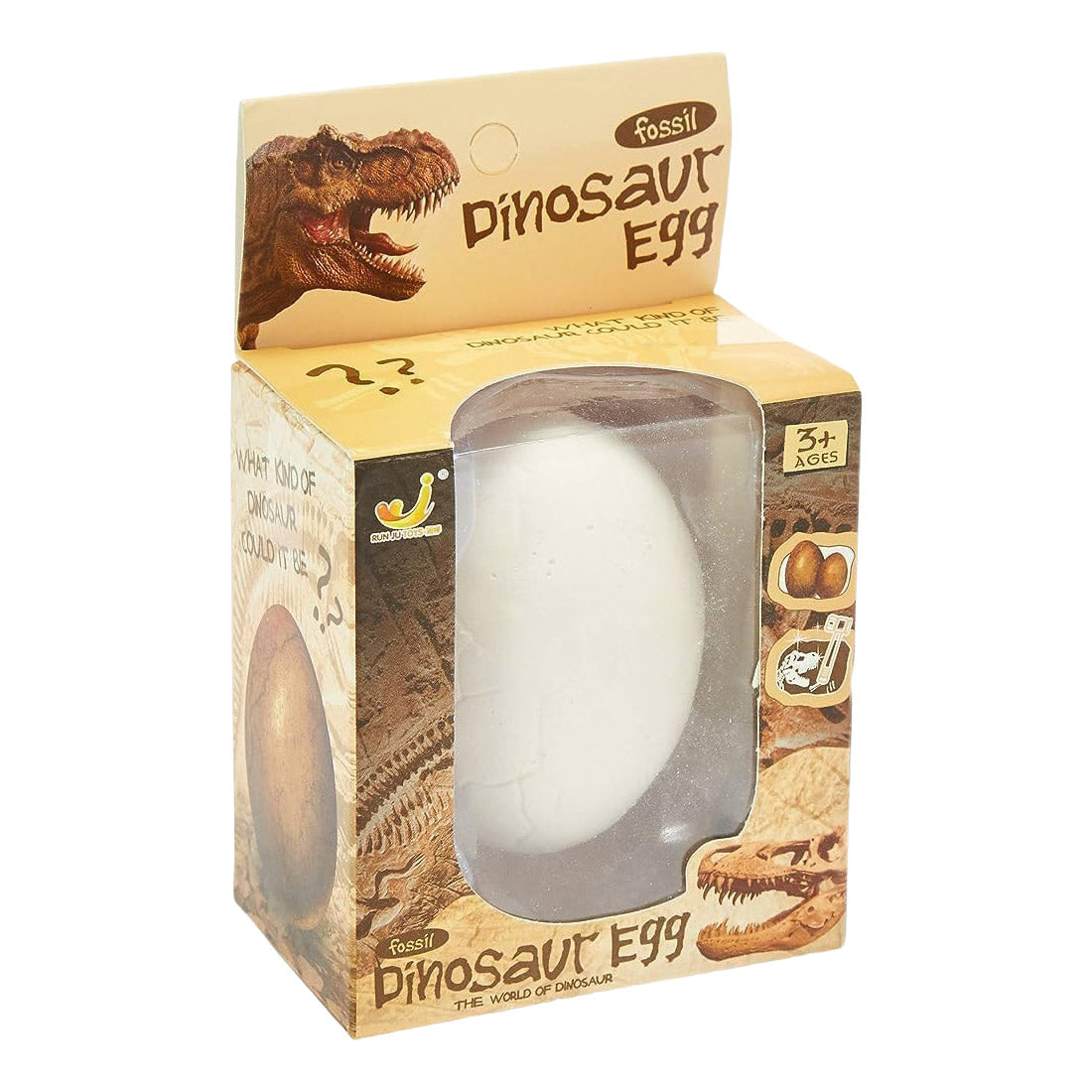 Fossil Dinosaur Egg