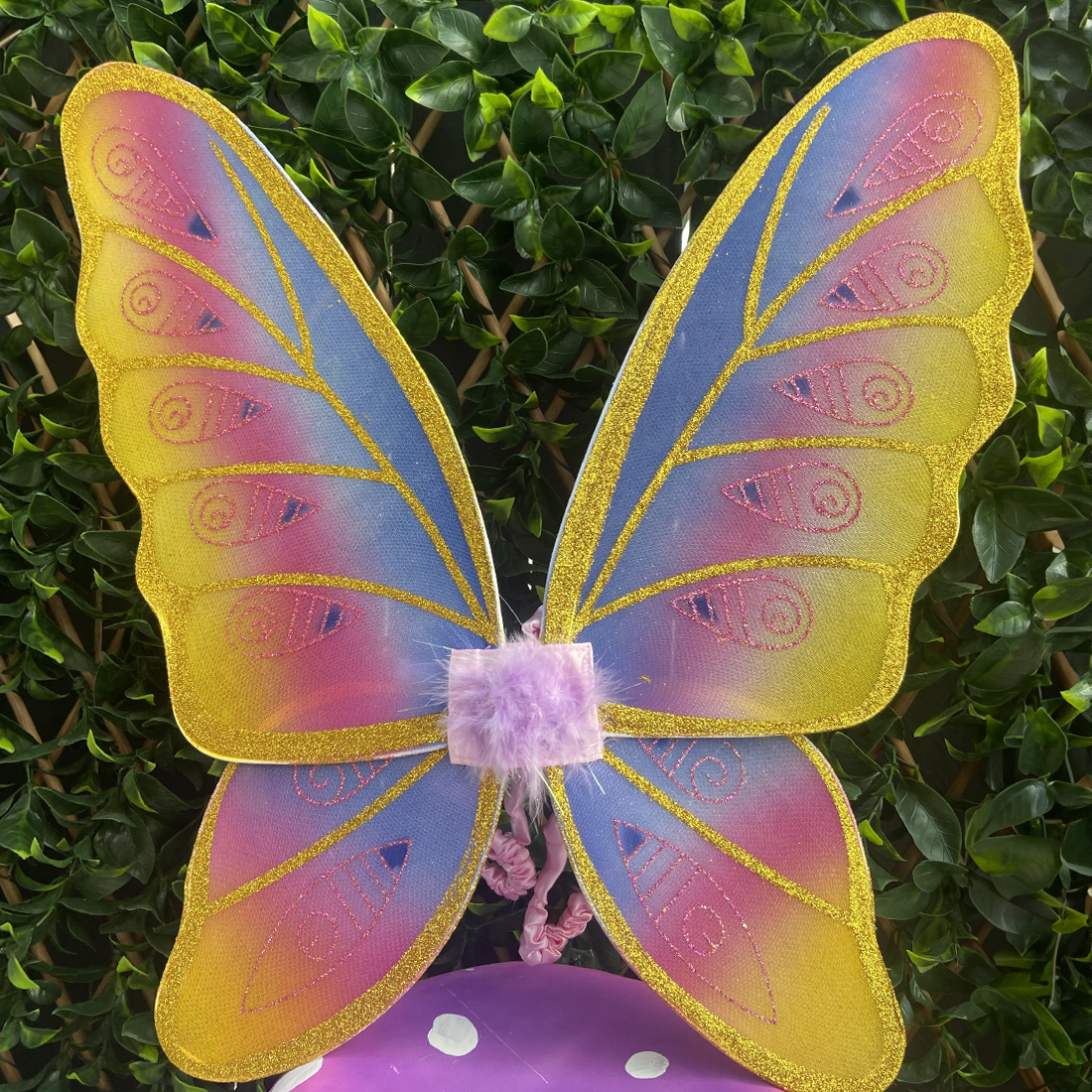 Glitter Rainbow Wings main image 1
