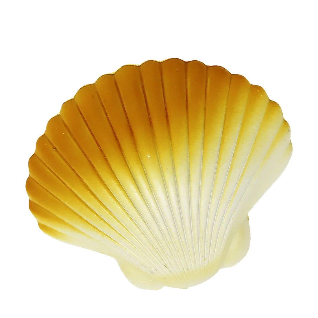 Hatch Clam Shell With Surprise Pearl Bracelet
